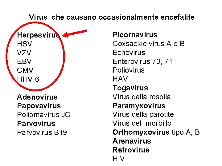 Virus che causano occasionalmente encefalite Herpesvirus HSV VZV EBV CMV HHV-6 Adenovirus Papovavirus Poliomavirus