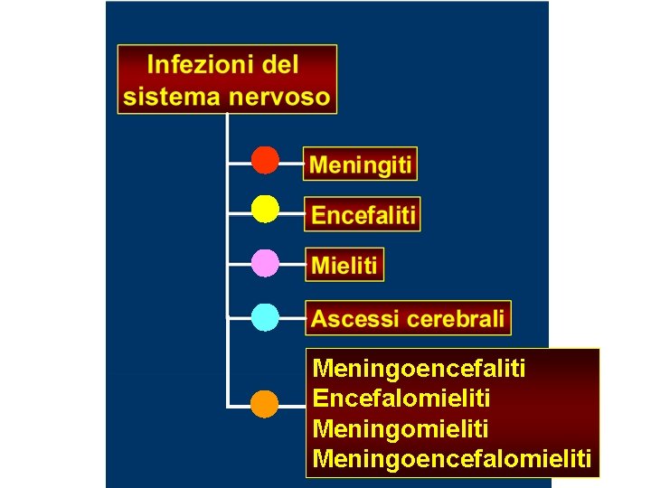 Meningoencefaliti Encefalomieliti Meningoencefalomieliti 