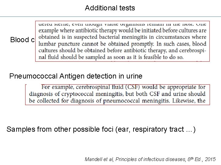Additional tests Blood culture Pneumococcal Antigen detection in urine Samples from other possible foci