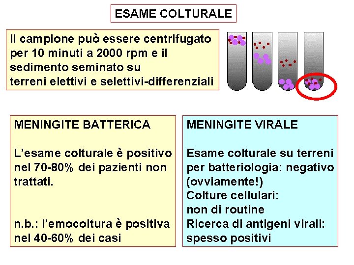 ESAME COLTURALE Il campione può essere centrifugato per 10 minuti a 2000 rpm e