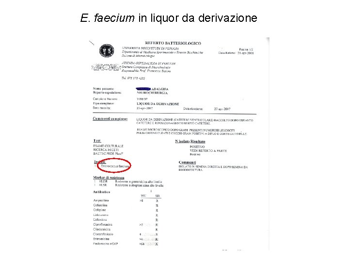 E. faecium in liquor da derivazione 