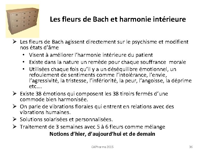 Les fleurs de Bach et harmonie intérieure Ø Les fleurs de Bach agissent directement