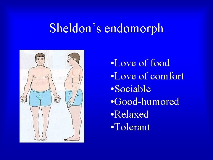 Sheldon’s endomorph • Love of food • Love of comfort • Sociable • Good-humored Sheldon’s endomorph • Love of food • Love of comfort • Sociable • Good-humored