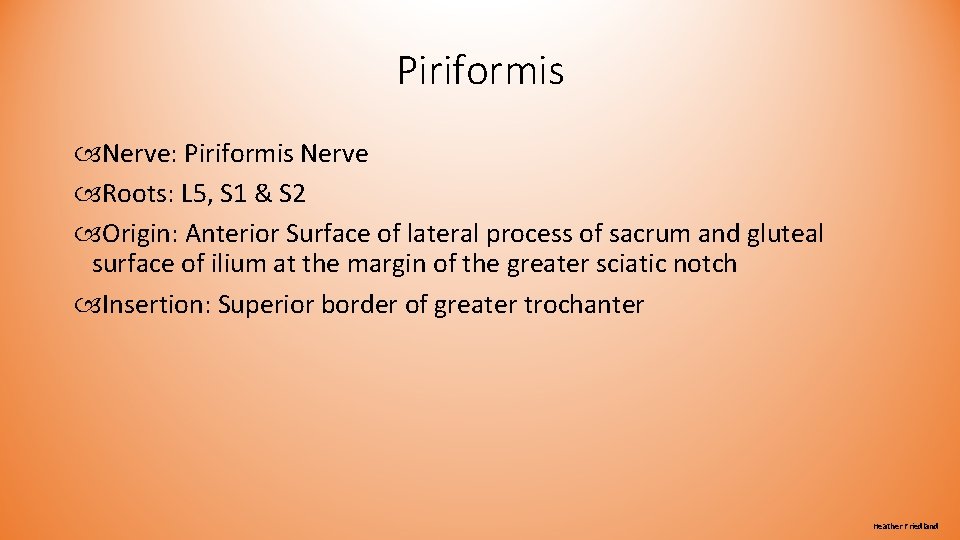 Piriformis Nerve: Piriformis Nerve Roots: L 5, S 1 & S 2 Origin: Anterior Piriformis Nerve: Piriformis Nerve Roots: L 5, S 1 & S 2 Origin: Anterior