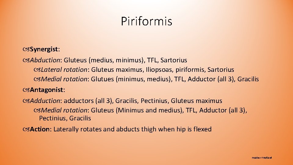 Piriformis Synergist: Abduction: Gluteus (medius, minimus), TFL, Sartorius Lateral rotation: Gluteus maximus, Iliopsoas, piriformis, Piriformis Synergist: Abduction: Gluteus (medius, minimus), TFL, Sartorius Lateral rotation: Gluteus maximus, Iliopsoas, piriformis,
