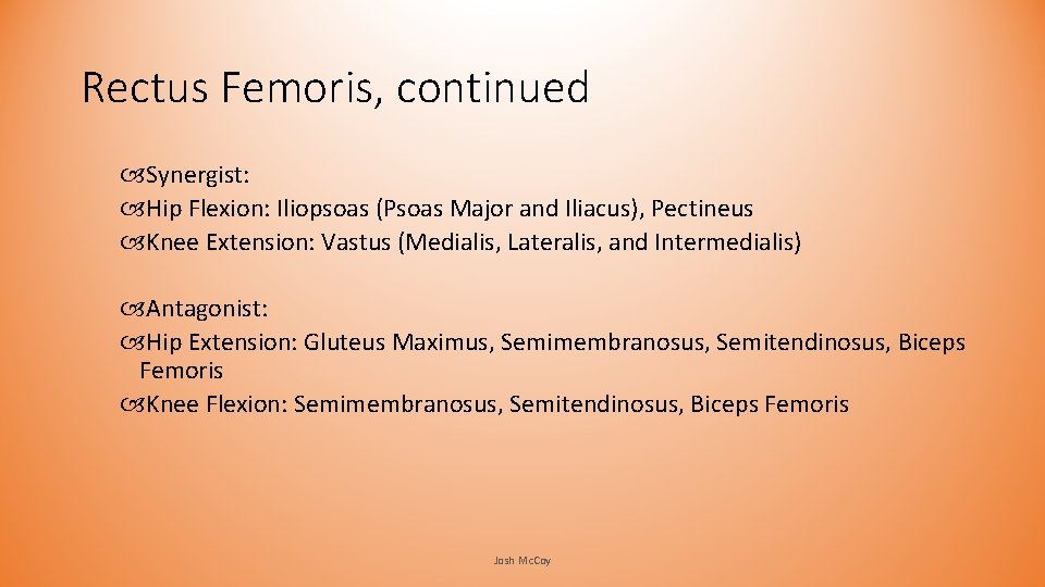Rectus Femoris, continued Synergist: Hip Flexion: Iliopsoas (Psoas Major and Iliacus), Pectineus Knee Extension: Rectus Femoris, continued Synergist: Hip Flexion: Iliopsoas (Psoas Major and Iliacus), Pectineus Knee Extension: