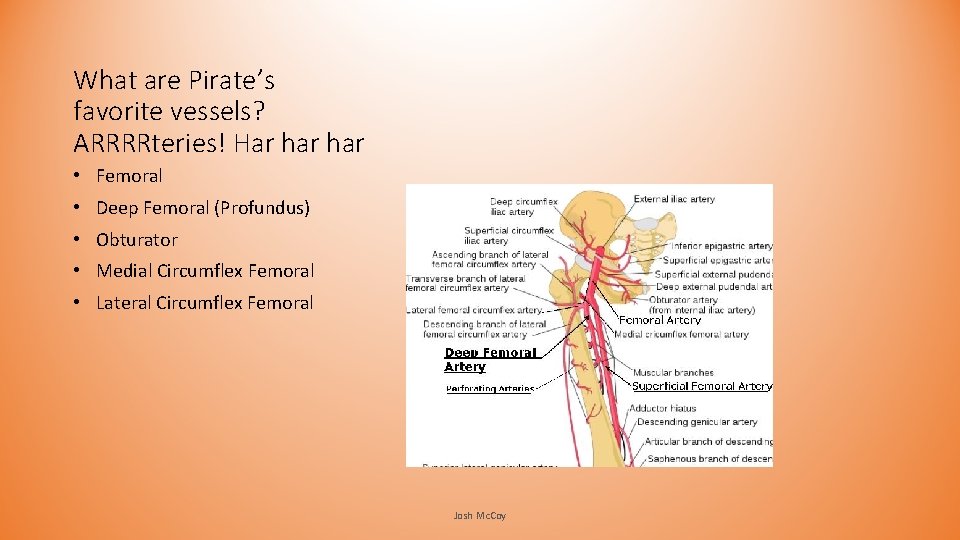 What are Pirate’s favorite vessels? ARRRRteries! Har har • Femoral • Deep Femoral (Profundus) What are Pirate’s favorite vessels? ARRRRteries! Har har • Femoral • Deep Femoral (Profundus)