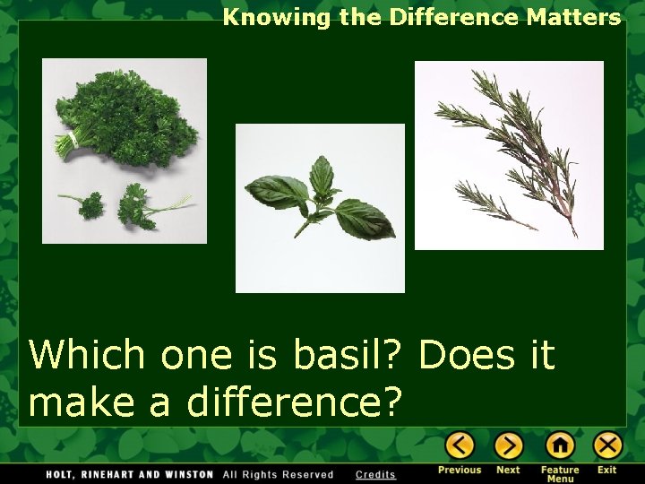 Knowing the Difference Matters Which one is basil? Does it make a difference? 