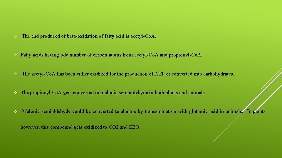 v v v The end produced of beta-oxidation of fatty acid is acetyl-Co. A.