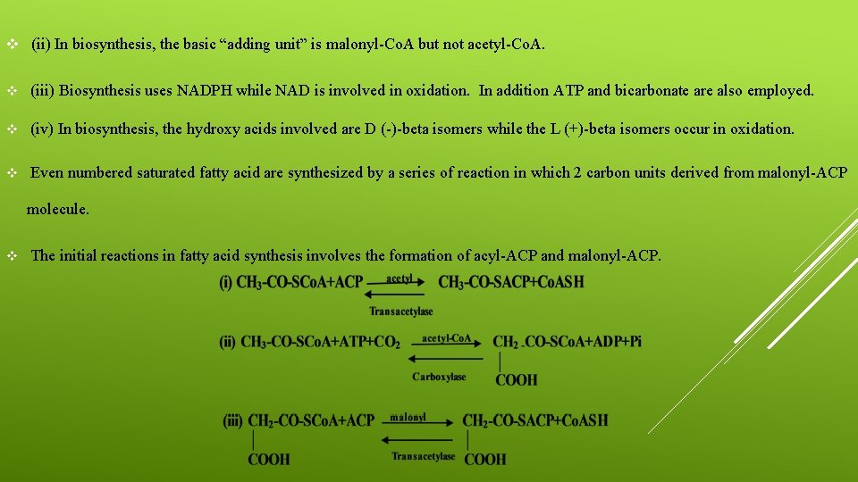 v (ii) In biosynthesis, the basic “adding unit” is malonyl-Co. A but not acetyl-Co.