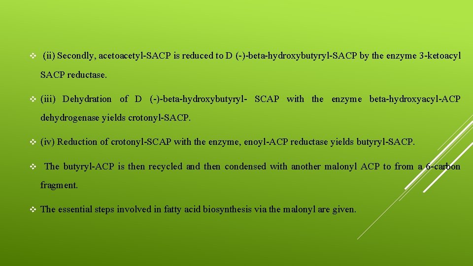 v (ii) Secondly, acetoacetyl-SACP is reduced to D (-)-beta-hydroxybutyryl-SACP by the enzyme 3 -ketoacyl