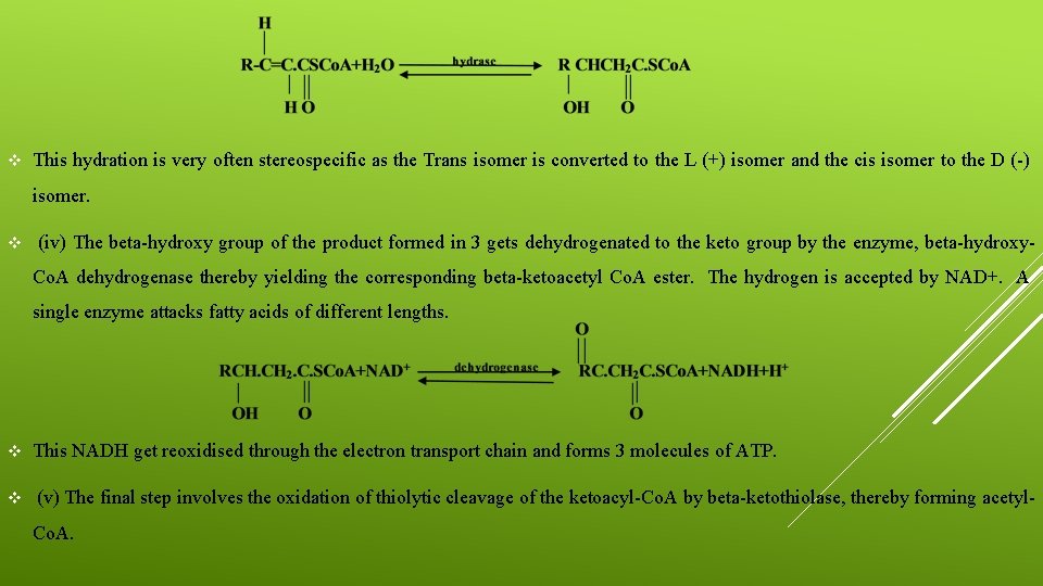 v This hydration is very often stereospecific as the Trans isomer is converted to