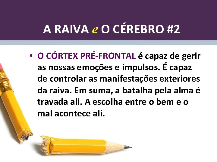 A RAIVA e O CÉREBRO #2 • O CÓRTEX PRÉ-FRONTAL é capaz de gerir