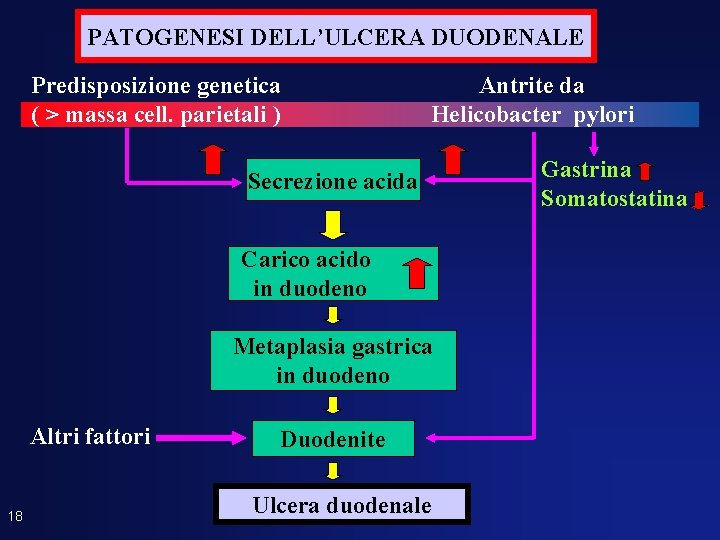 PATOGENESI DELL’ULCERA DUODENALE Predisposizione genetica ( > massa cell. parietali ) Antrite da Helicobacter PATOGENESI DELL’ULCERA DUODENALE Predisposizione genetica ( > massa cell. parietali ) Antrite da Helicobacter