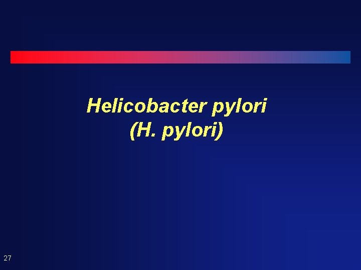 Helicobacter pylori (H. pylori) 27 Helicobacter pylori (H. pylori) 27