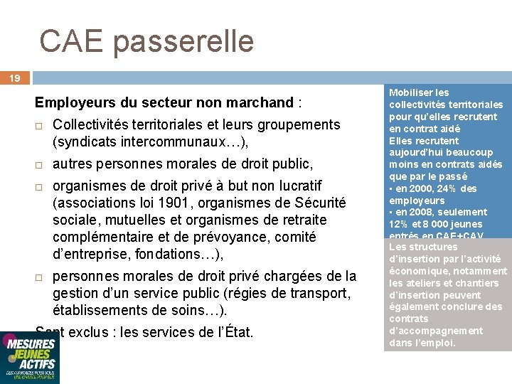 CAE passerelle 19 Employeurs du secteur non marchand : Collectivités territoriales et leurs groupements