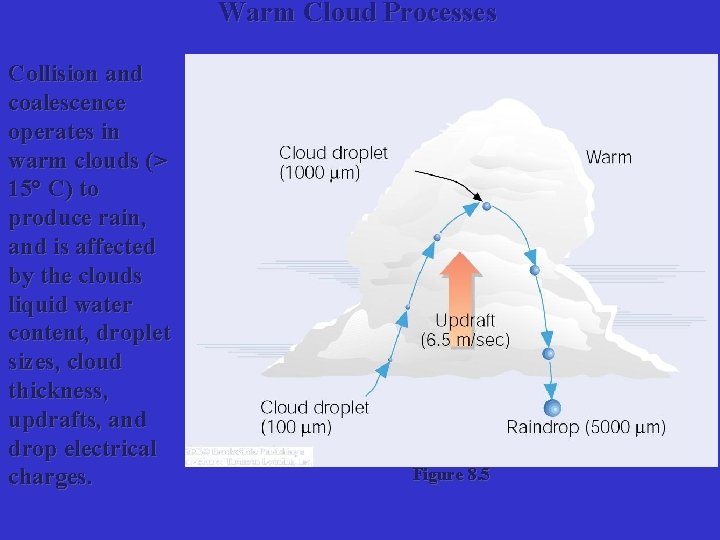 Warm Cloud Processes Collision and coalescence operates in warm clouds (> 15° C) to