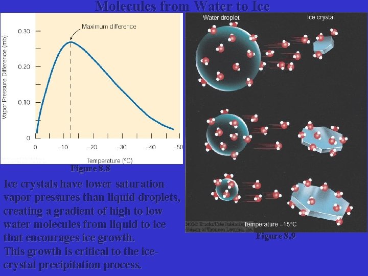 Molecules from Water to Ice Figure 8. 8 Ice crystals have lower saturation vapor