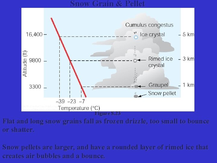 Snow Grain & Pellet Figure 8. 23 Flat and long snow grains fall as