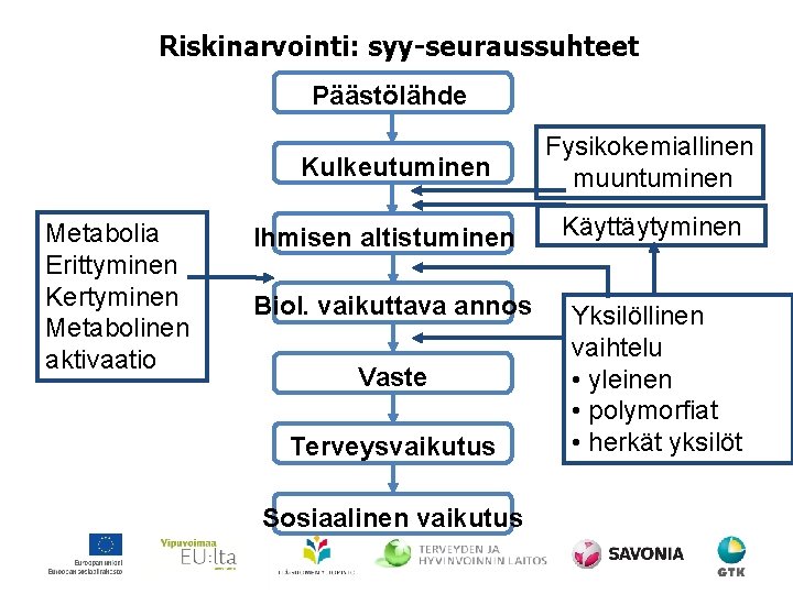 Riskinarvointi: syy-seuraussuhteet Päästölähde Kulkeutuminen Metabolia Erittyminen Kertyminen Metabolinen aktivaatio Ihmisen altistuminen Biol. vaikuttava annos