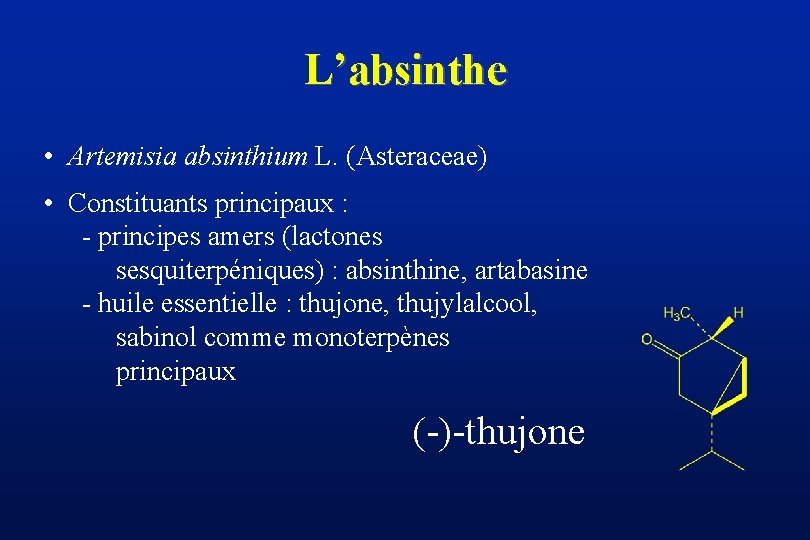 L’absinthe • Artemisia absinthium L. (Asteraceae) • Constituants principaux : - principes amers (lactones