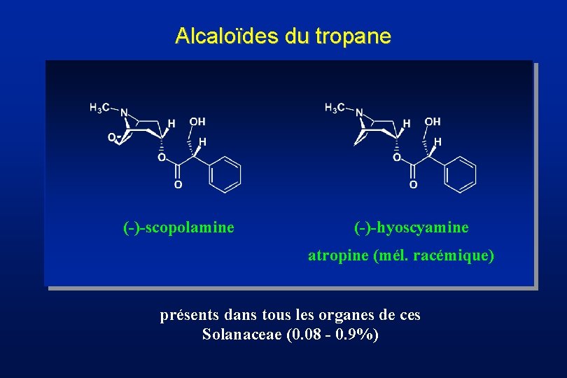 Alcaloïdes du tropane (-)-scopolamine (-)-hyoscyamine atropine (mél. racémique) présents dans tous les organes de