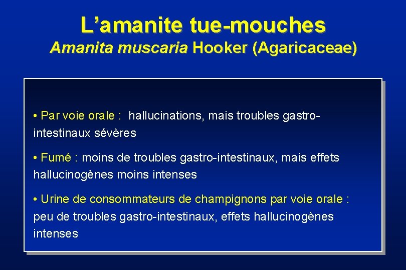 L’amanite tue-mouches Amanita muscaria Hooker (Agaricaceae) • Par voie orale : hallucinations, mais troubles