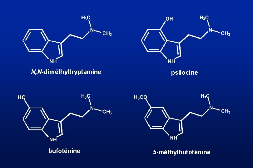 N, N-diméthyltryptamine bufoténine psilocine 5 -méthylbufoténine 