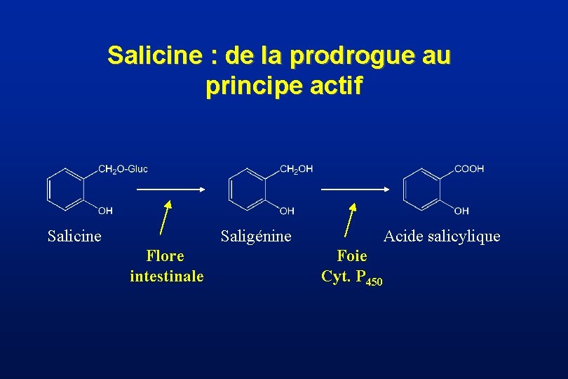 Salicine : de la prodrogue au principe actif Salicine Saligénine Flore intestinale Acide salicylique