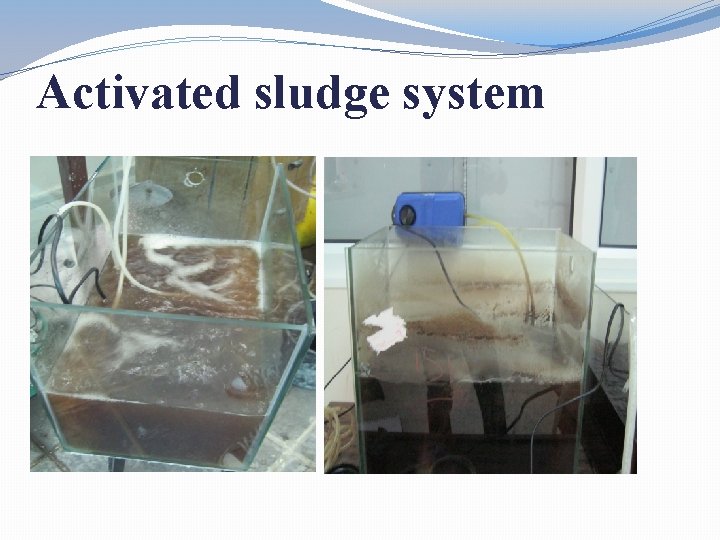 Activated sludge system 