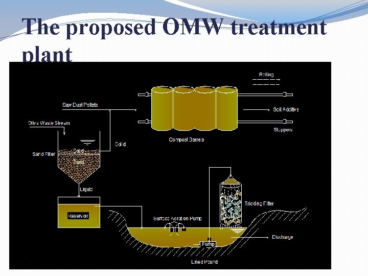 The proposed OMW treatment plant 