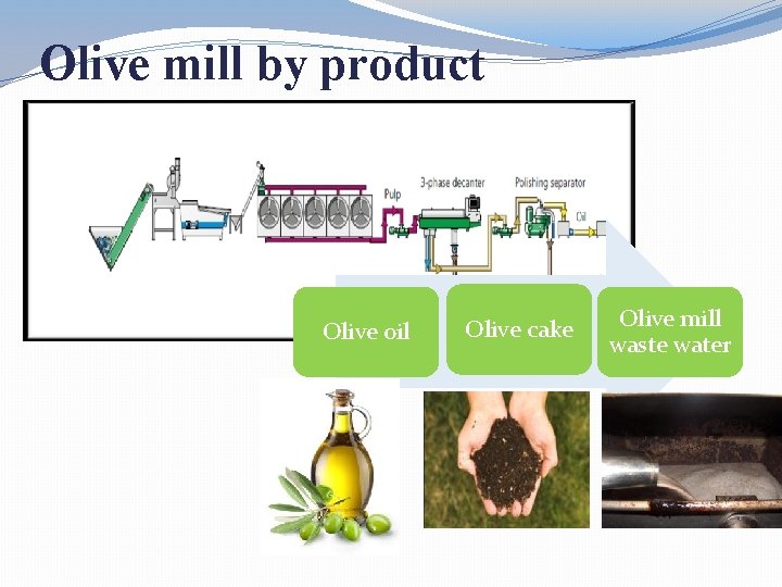 Olive mill by product Olive oil Olive cake Olive mill waste water 