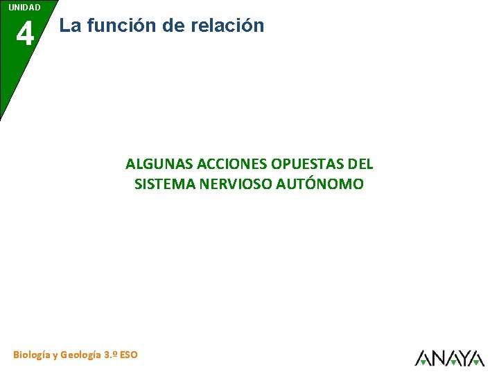 UNIDAD 4 La función de relación ALGUNAS ACCIONES OPUESTAS DEL SISTEMA NERVIOSO AUTÓNOMO Biología