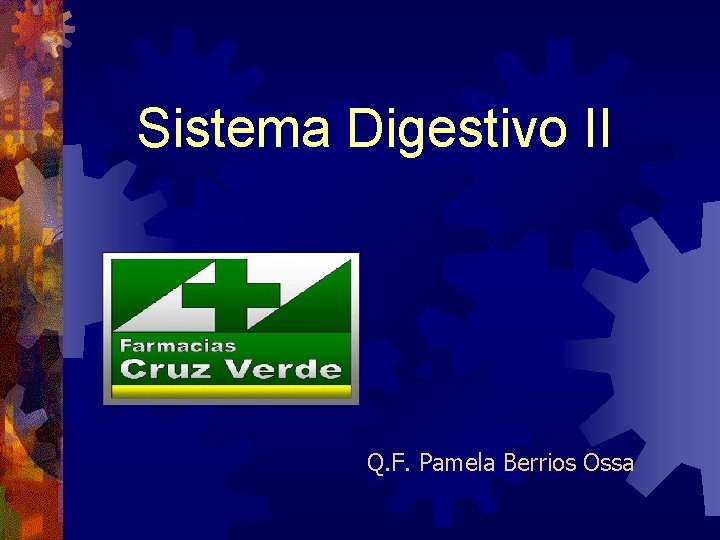 Sistema Digestivo II Q. F. Pamela Berrios Ossa 