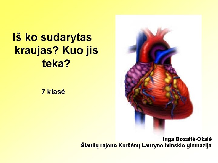 Iš ko sudarytas kraujas? Kuo jis teka? 7 klasė Inga Bosaitė-Ožalė Šiaulių rajono Kuršėnų