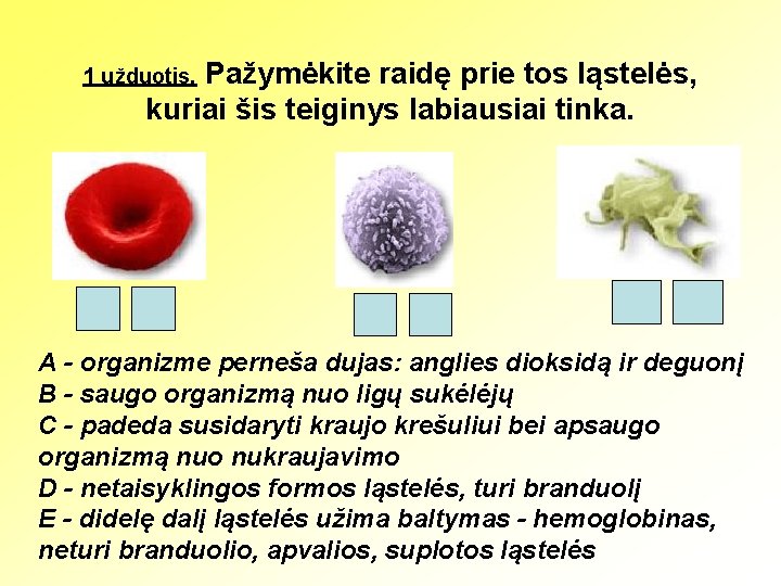 Pažymėkite raidę prie tos ląstelės, kuriai šis teiginys labiausiai tinka. 1 užduotis. A -