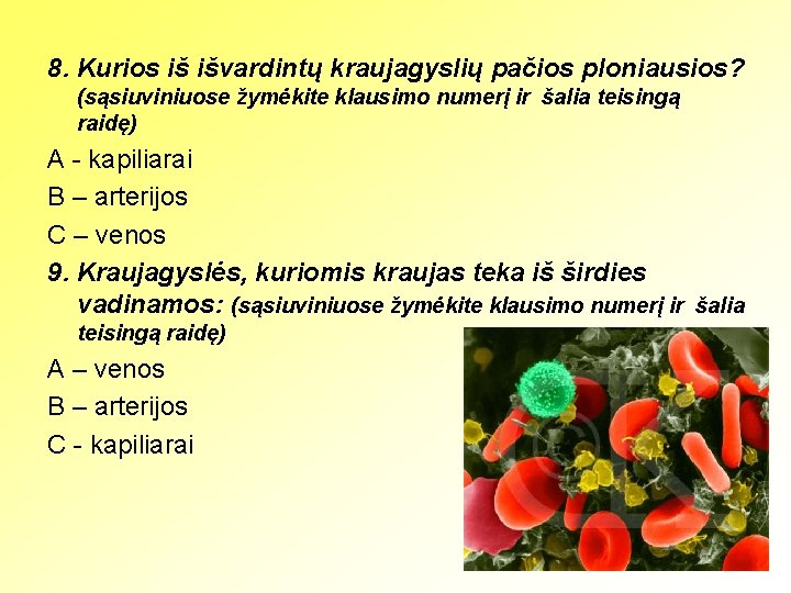 8. Kurios iš išvardintų kraujagyslių pačios ploniausios? (sąsiuviniuose žymėkite klausimo numerį ir šalia teisingą