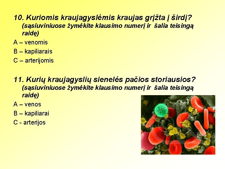 10. Kuriomis kraujagyslėmis kraujas grįžta į širdį? (sąsiuviniuose žymėkite klausimo numerį ir šalia teisingą