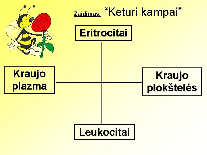 Žaidimas. “Keturi kampai” Eritrocitai Kraujo plazma Kraujo plokštelės Leukocitai 