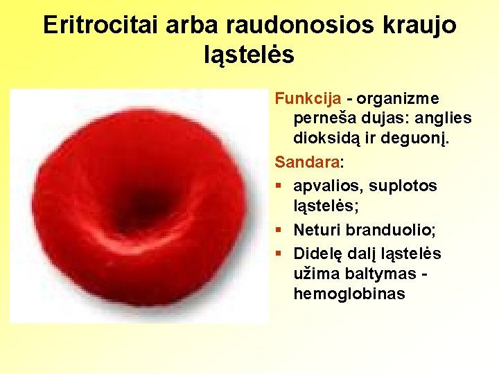 Eritrocitai arba raudonosios kraujo ląstelės Funkcija - organizme perneša dujas: anglies dioksidą ir deguonį.
