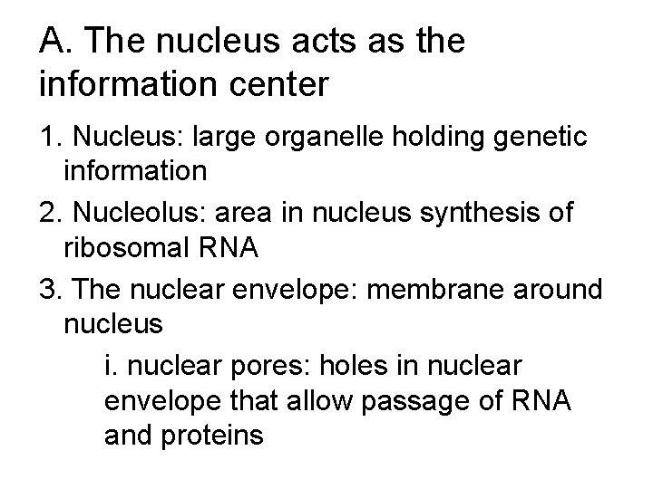 A. The nucleus acts as the information center 1. Nucleus: large organelle holding genetic A. The nucleus acts as the information center 1. Nucleus: large organelle holding genetic