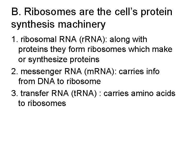 B. Ribosomes are the cell’s protein synthesis machinery 1. ribosomal RNA (r. RNA): along B. Ribosomes are the cell’s protein synthesis machinery 1. ribosomal RNA (r. RNA): along