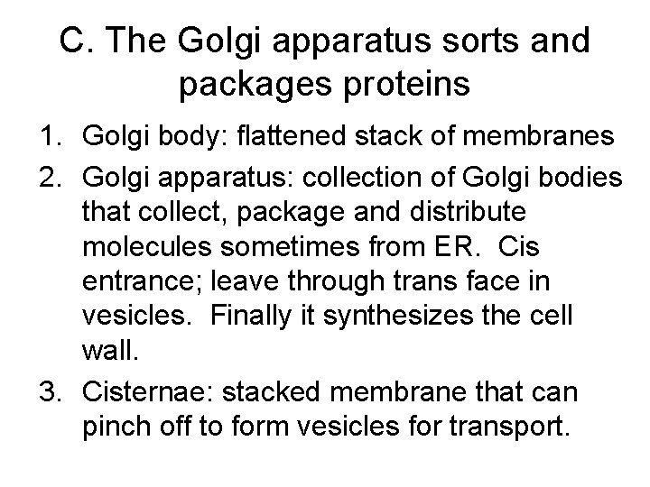 C. The Golgi apparatus sorts and packages proteins 1. Golgi body: flattened stack of C. The Golgi apparatus sorts and packages proteins 1. Golgi body: flattened stack of