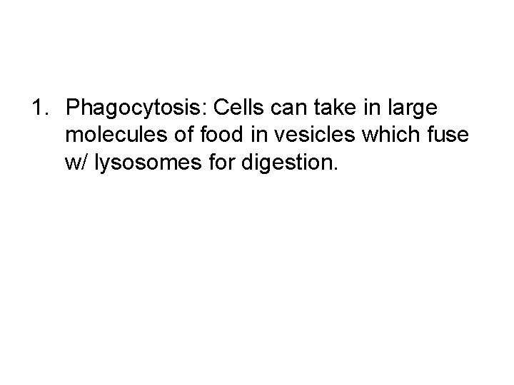 1. Phagocytosis: Cells can take in large molecules of food in vesicles which fuse 1. Phagocytosis: Cells can take in large molecules of food in vesicles which fuse