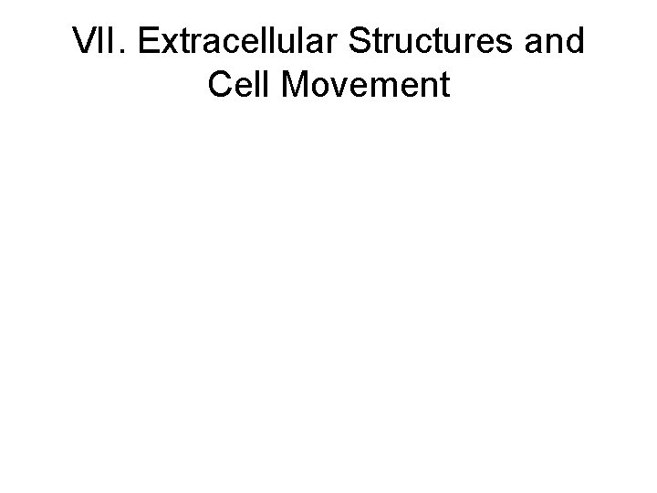 VII. Extracellular Structures and Cell Movement VII. Extracellular Structures and Cell Movement