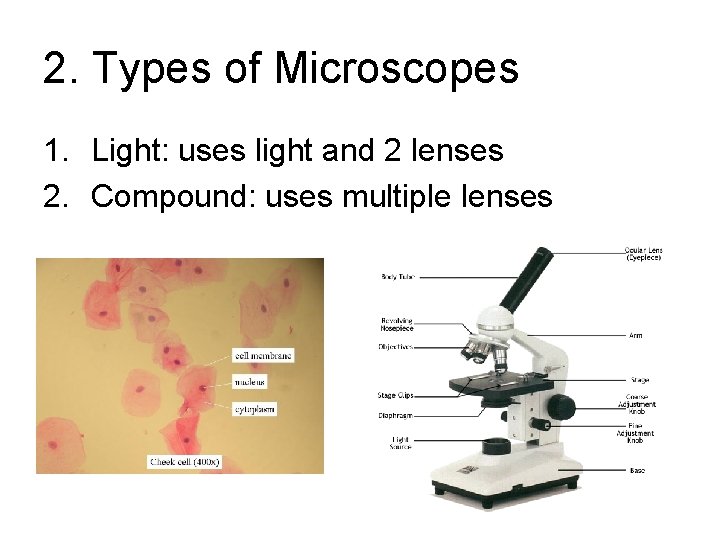 2. Types of Microscopes 1. Light: uses light and 2 lenses 2. Compound: uses 2. Types of Microscopes 1. Light: uses light and 2 lenses 2. Compound: uses
