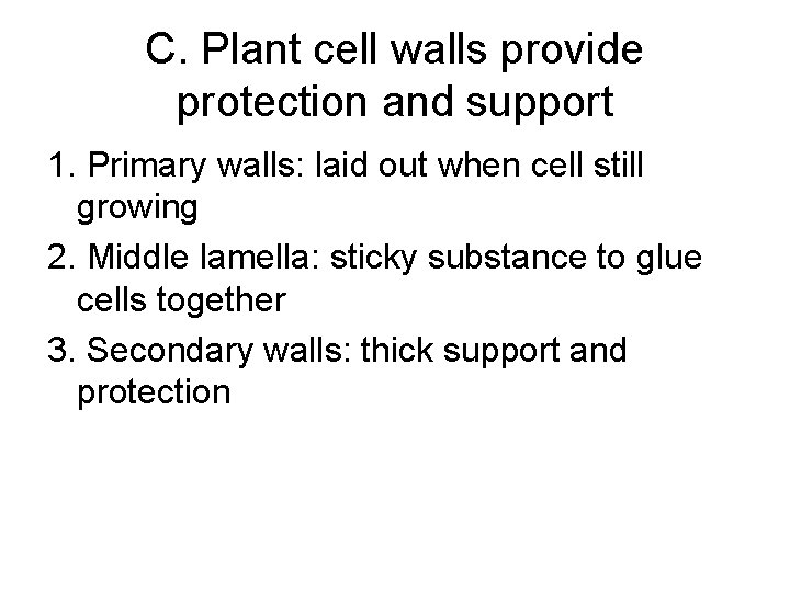C. Plant cell walls provide protection and support 1. Primary walls: laid out when C. Plant cell walls provide protection and support 1. Primary walls: laid out when