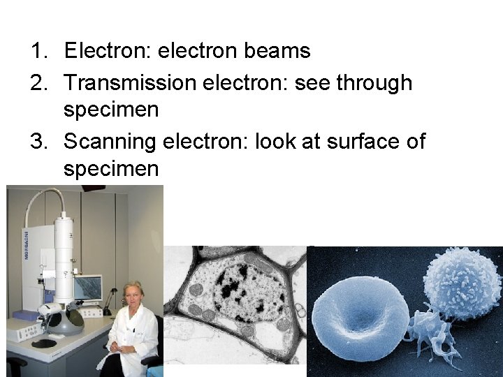 1. Electron: electron beams 2. Transmission electron: see through specimen 3. Scanning electron: look 1. Electron: electron beams 2. Transmission electron: see through specimen 3. Scanning electron: look