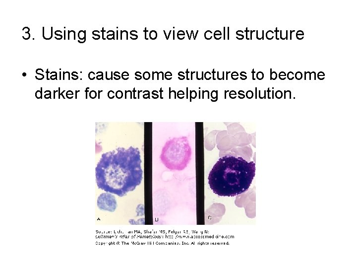 3. Using stains to view cell structure • Stains: cause some structures to become 3. Using stains to view cell structure • Stains: cause some structures to become