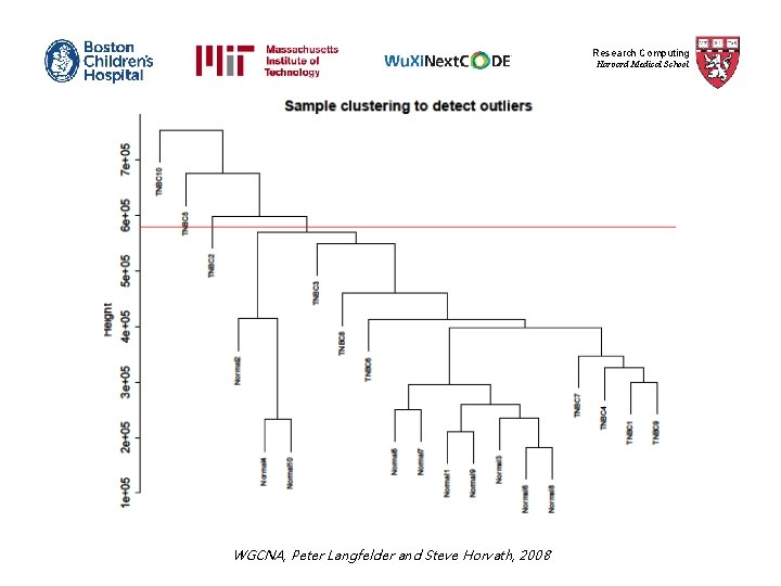 Research Computing Harvard Medical School WGCNA, Peter Langfelder and Steve Horvath, 2008 